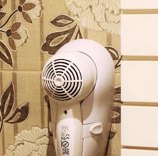 Silva 公寓 地拉那